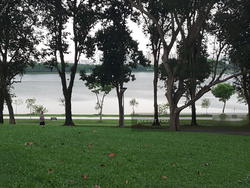 Archipelago (D16), Condominium #147887742